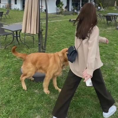 假装热情